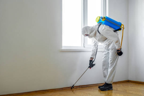 Best Pest Control for Homes  in Greenville, SC